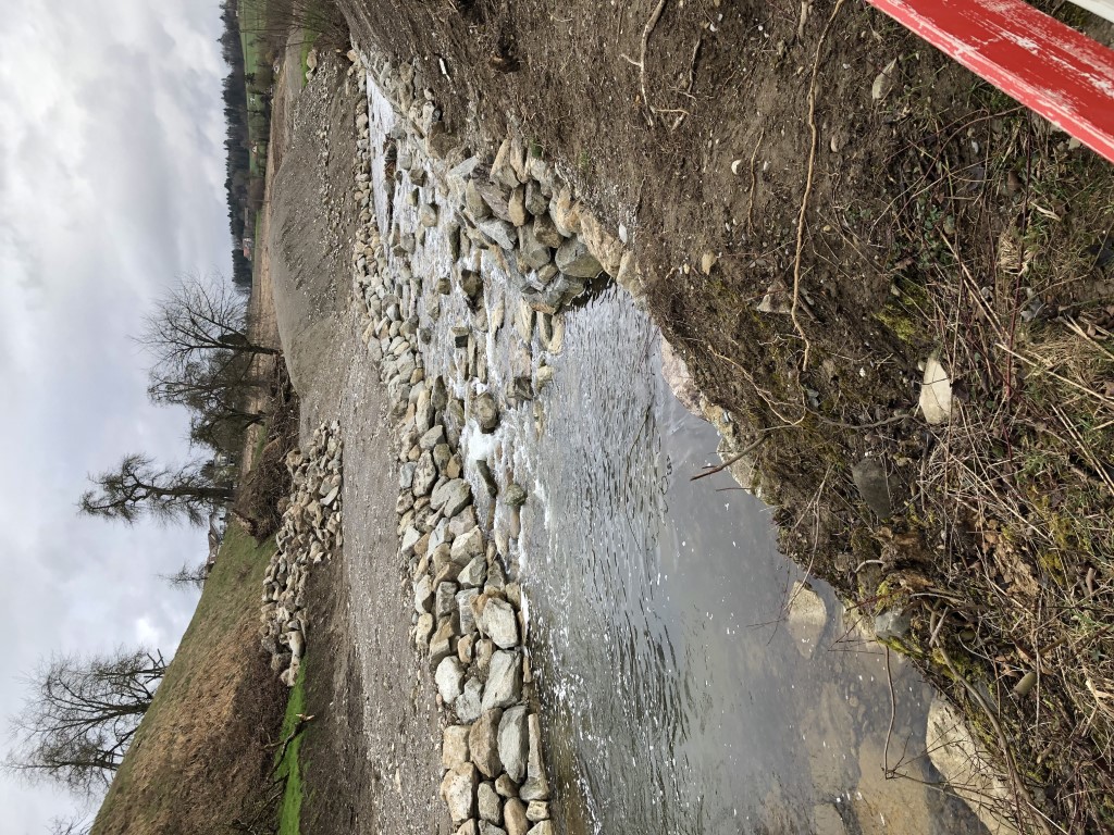 Revitalisierter Jonenbach auf Höhe Abschnitt 5 im «neuen» Zustand ohne Bewuchs.